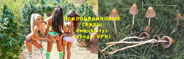 гидропоника Бронницы