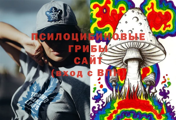 сатива Бугульма