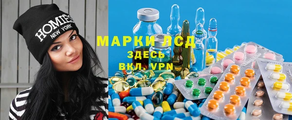 сатива Бугульма