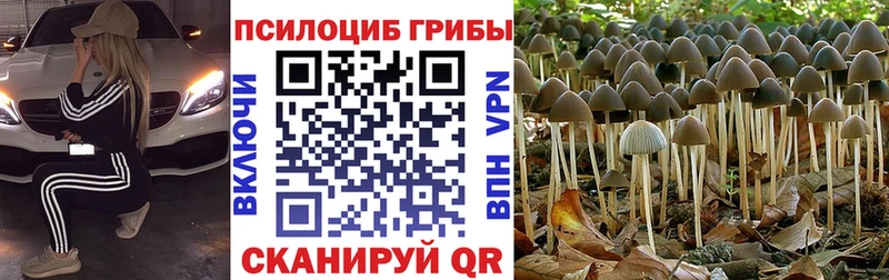 Галлюциногенные грибы мухоморы  Ангарск 